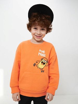 20120170150, Джемпер детский для мальчиков Apricot_sw оранжевый, 100%Хлопок, 104